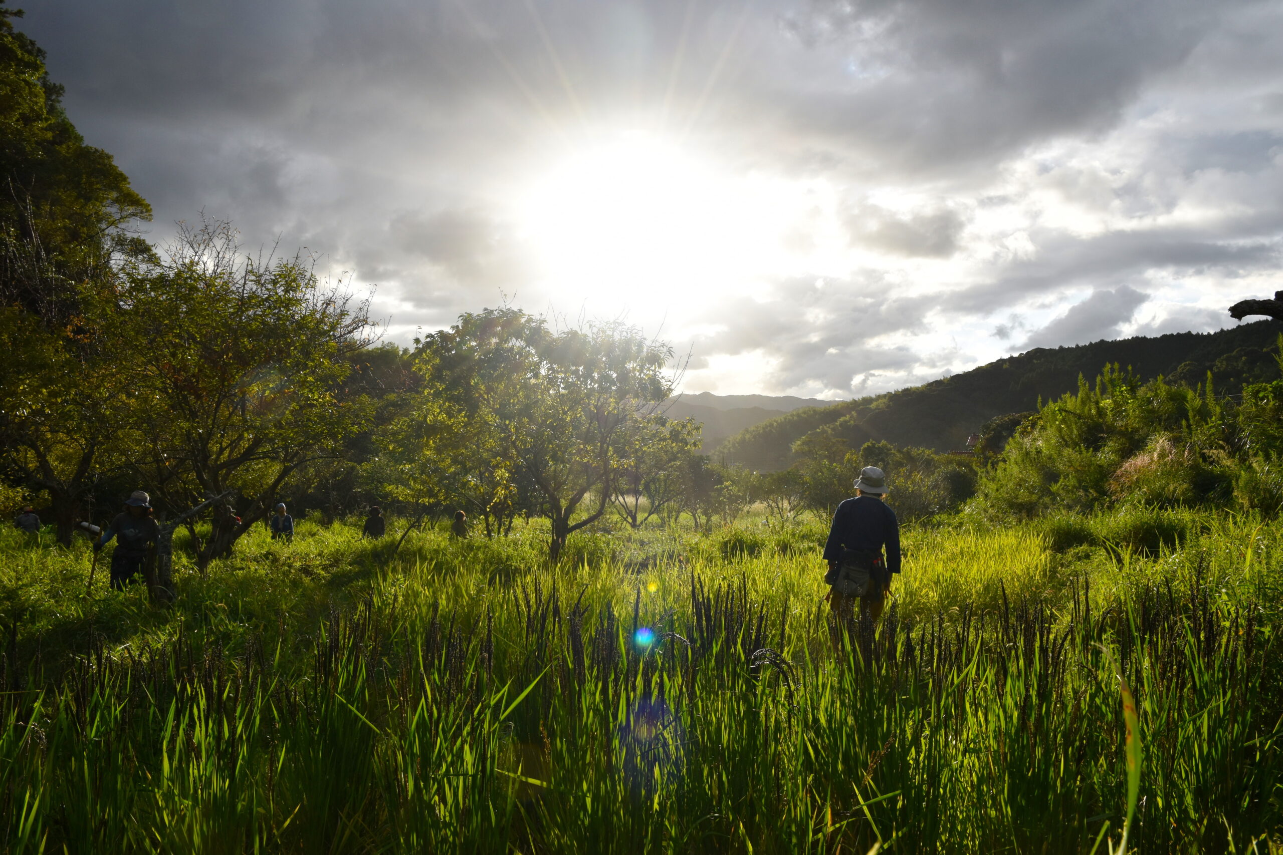 杜人（もりびと）～環境再生医 矢野智徳の挑戦